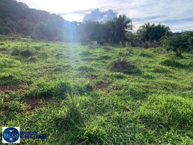 Fazenda para Venda em Piranhas - 4