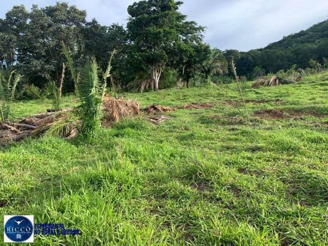 #4080 - Fazenda para Venda em Piranhas - GO