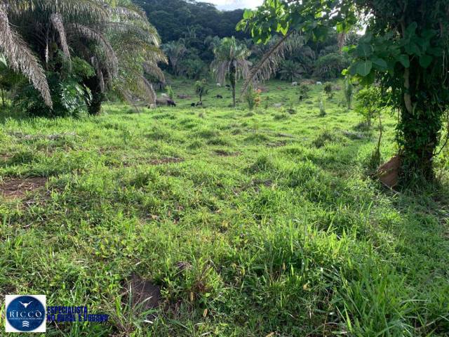Fazenda para Venda em Piranhas - 5