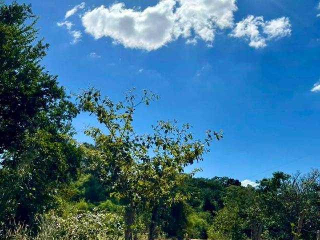 #4082 - Fazenda para Venda em Jaraguá - GO