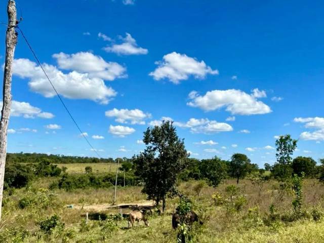 Fazenda para Venda em Jaraguá - 4