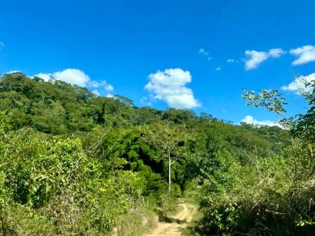Fazenda para Venda em Jaraguá - 5