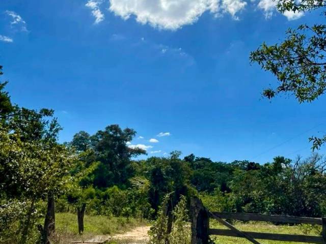 Venda em zona rural - Jaraguá