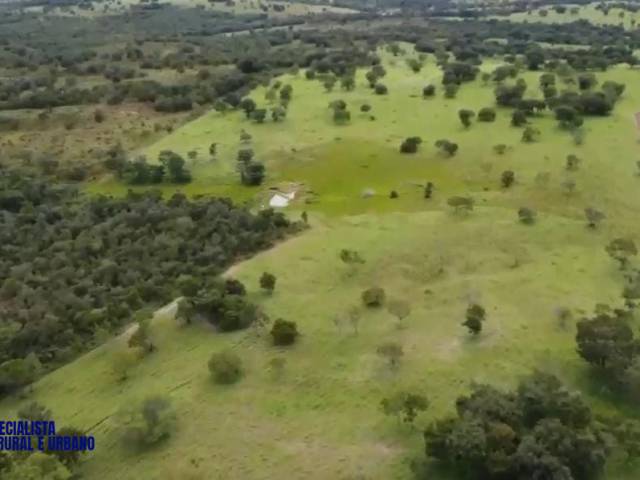 #4083 - Fazenda para Venda em Faina - GO