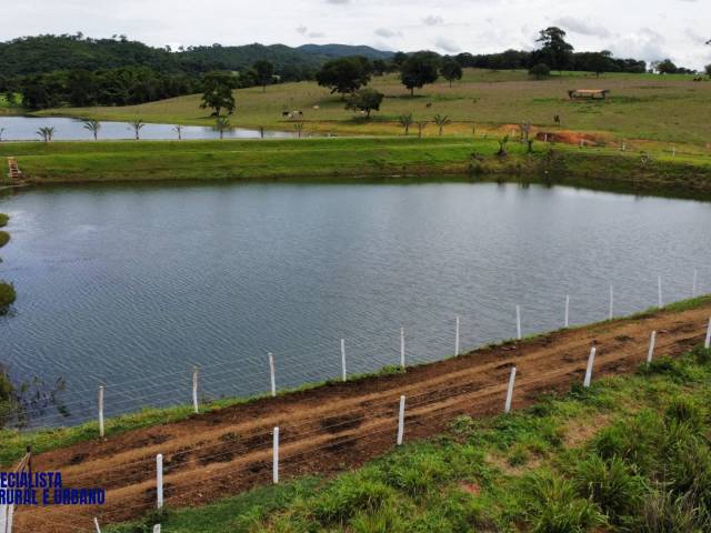 Fazenda para Venda em Itapuranga - 4
