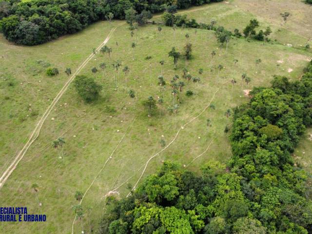Fazenda para Venda em Itapuranga - 5