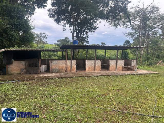 #4086 - Chácara para Venda em Bela Vista de Goiás - GO