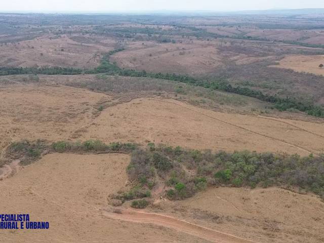 Fazenda para Venda em Montes Claros de Goiás - 4