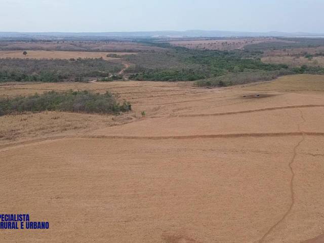 #4087 - Fazenda para Venda em Montes Claros de Goiás - GO