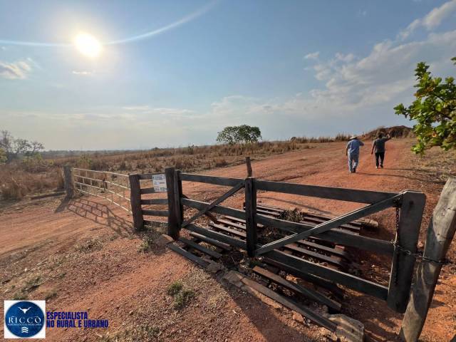 Fazenda para Venda em Montes Claros de Goiás - 5