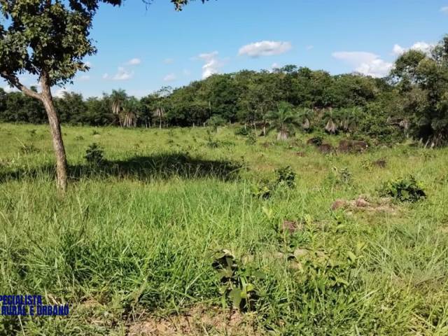 #1150 - Fazenda para Venda em Arenópolis - GO