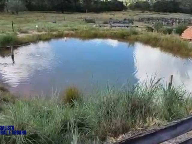 #1150 - Fazenda para Venda em Arenópolis - GO