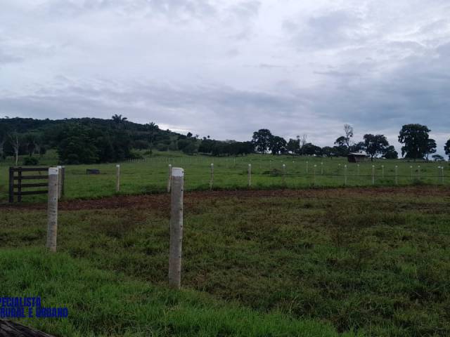 Fazenda para Venda em Diorama - 5