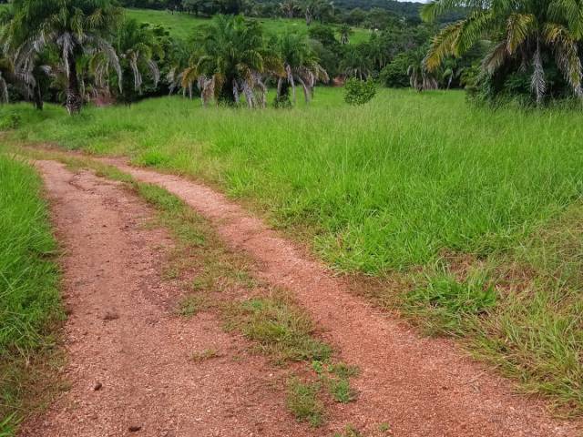 #4090 - Fazenda para Venda em Diorama - GO