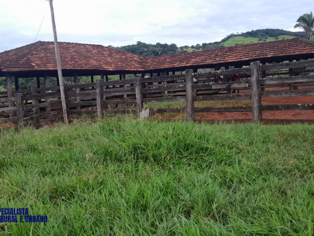 #4090 - Fazenda para Venda em Diorama - GO