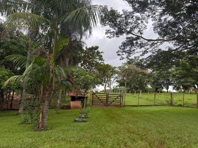 Chácara para Venda em Anicuns - 4