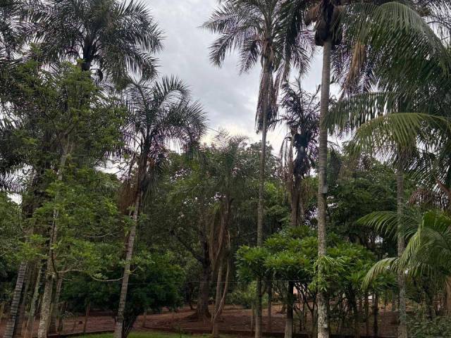 #4098 - Chácara para Venda em Anicuns - GO