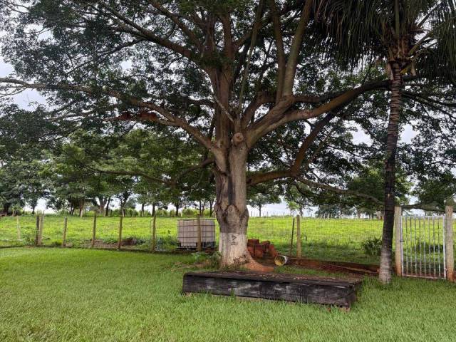 Chácara para Venda em Anicuns - 5