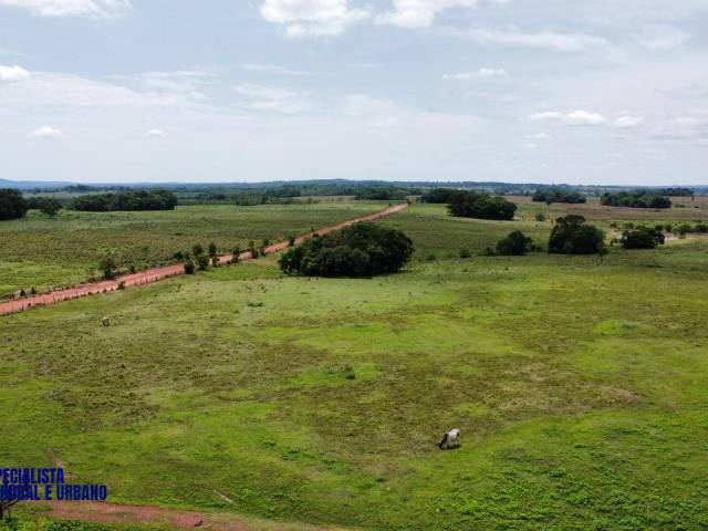 #4105 - Fazenda para Venda em Crixás - GO