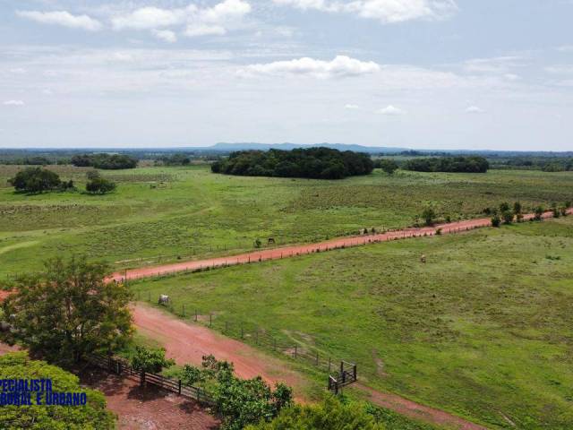 Fazenda para Venda em Crixás - 4