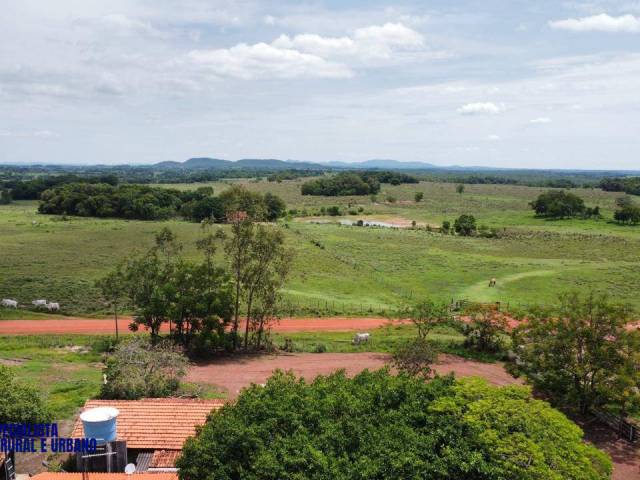 Fazenda para Venda em Crixás - 5