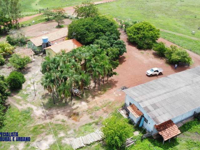 #4105 - Fazenda para Venda em Crixás - GO