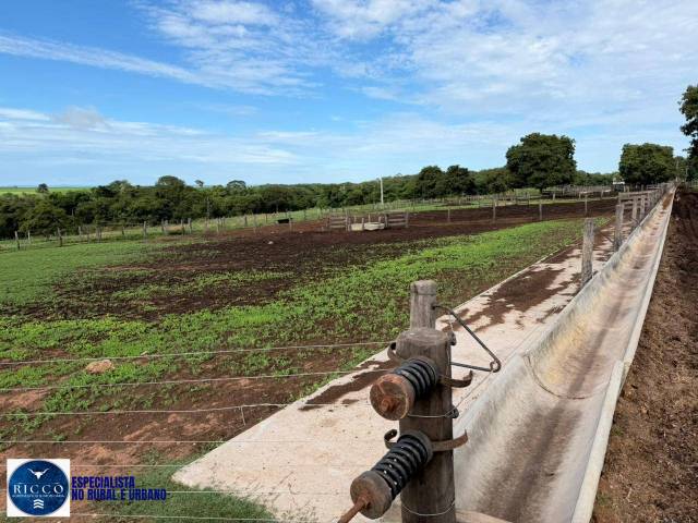 Fazenda para Venda em Piranhas - 4