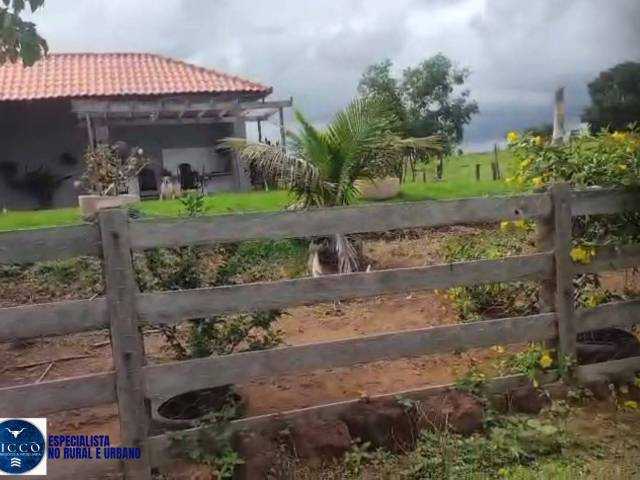 #4113 - Fazenda para Venda em Santa Fé de Goiás - GO