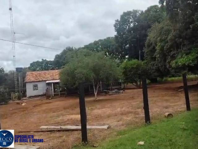 Fazenda para Venda em Santa Fé de Goiás - 5
