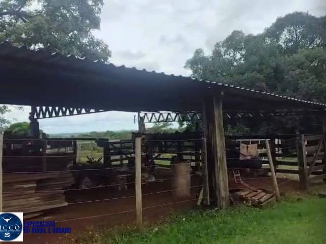 #4113 - Fazenda para Venda em Santa Fé de Goiás - GO