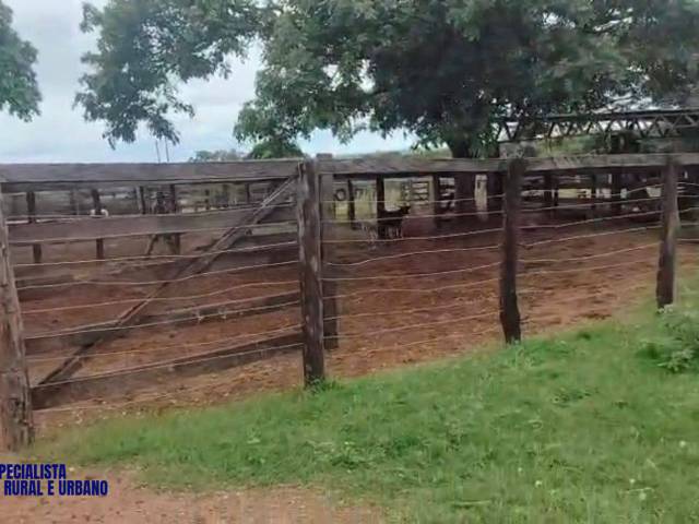 Fazenda para Venda em Santa Fé de Goiás - 4