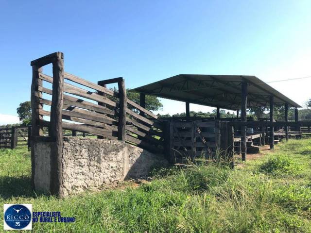 Fazenda para Venda em Nova Crixás - 4