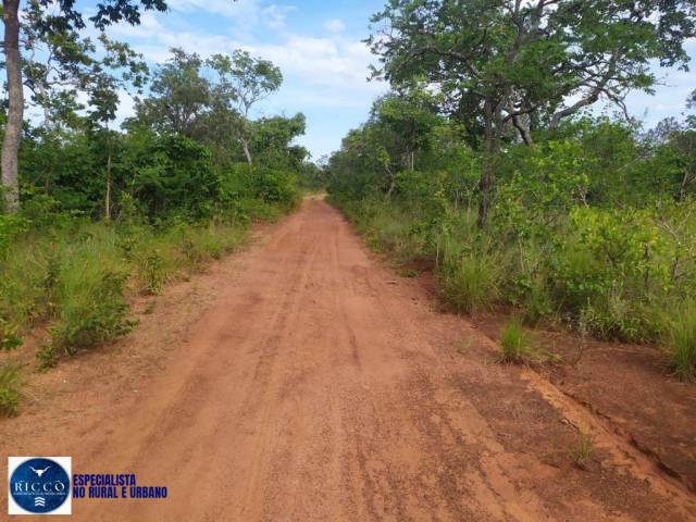 #4115 - Fazenda para Venda em Paranã - TO