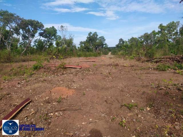 #4115 - Fazenda para Venda em Paranã - TO