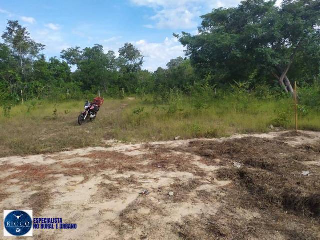 Fazenda para Venda em Paranã - 5