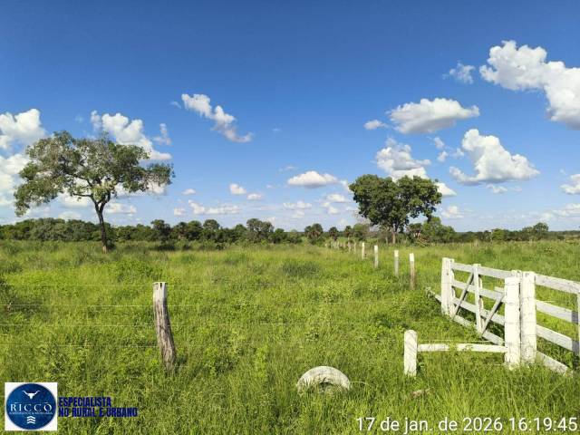 #4125 - Fazenda para Venda em Araguaçu - TO