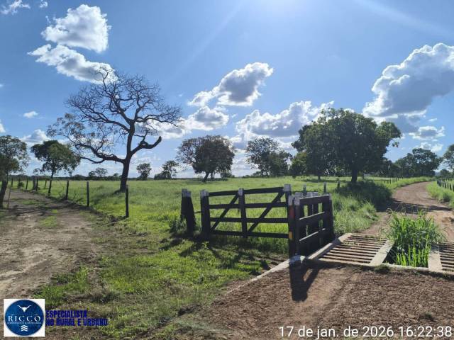 Fazenda para Venda em Araguaçu - 5