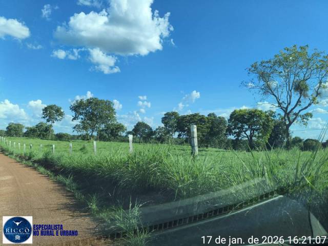 #4125 - Fazenda para Venda em Araguaçu - TO