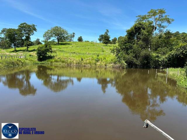#4135 - Chácara para Venda em São Luís de Montes Belos - GO