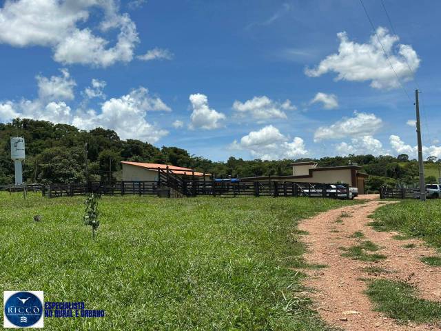 #4135 - Chácara para Venda em São Luís de Montes Belos - GO