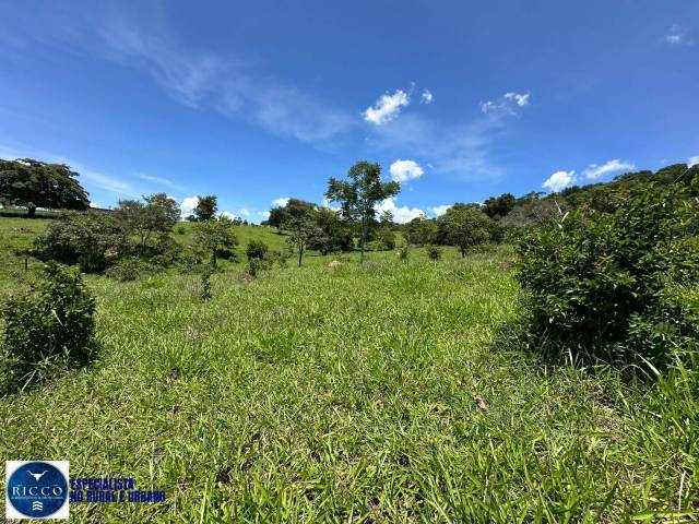 Chácara para Venda em São Luís de Montes Belos - 5