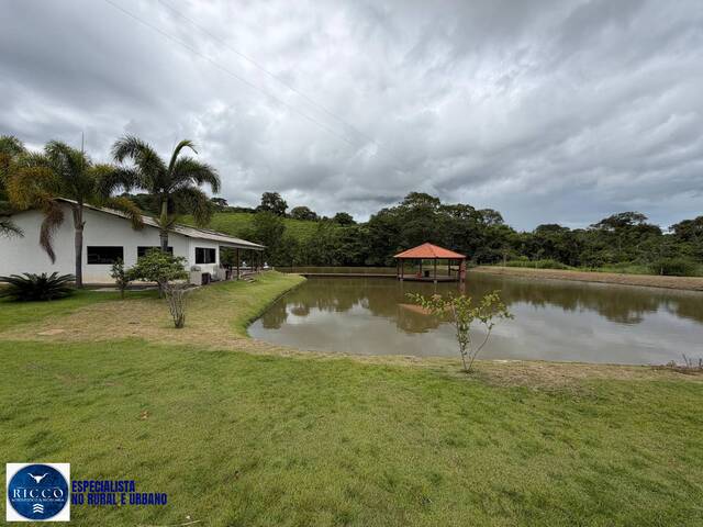 Chácara para Venda em Bela Vista de Goiás - 3
