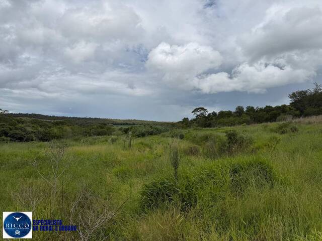 Chácara para Venda em Bela Vista de Goiás - 4