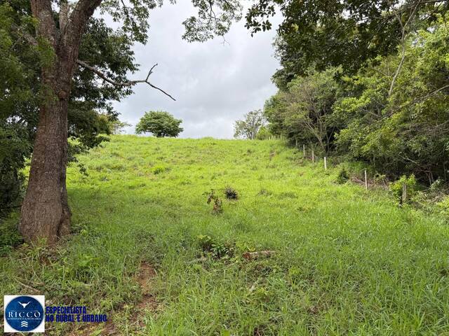 Chácara para Venda em Bela Vista de Goiás - 5