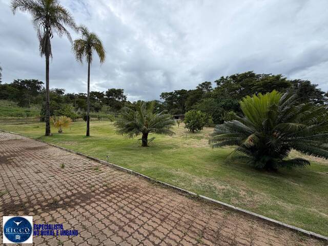 Chácara para Venda em Bela Vista de Goiás - 2