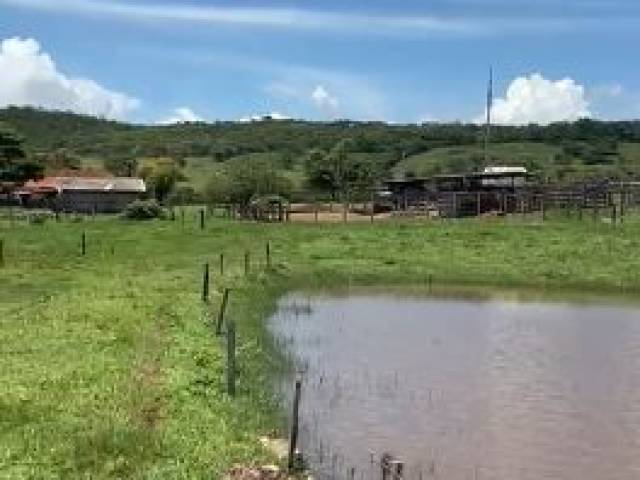 Fazenda para Venda em Iporá - 4