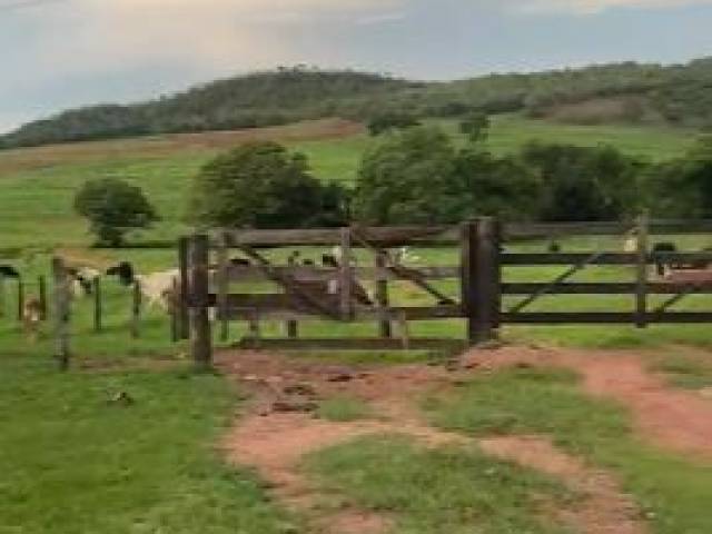 Fazenda para Venda em Iporá - 5