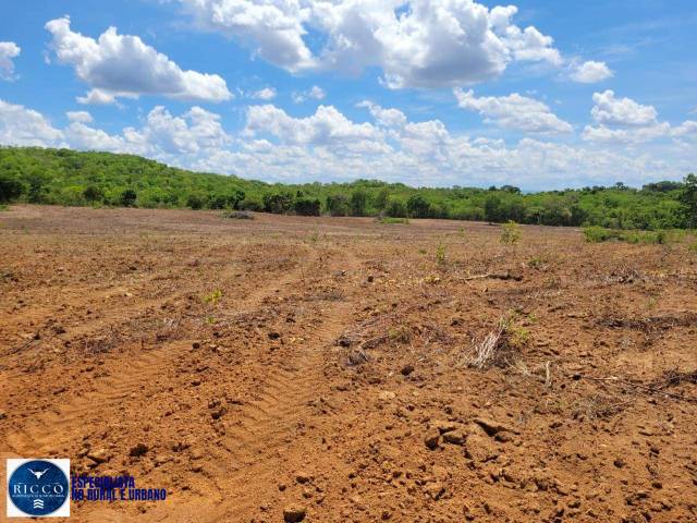 #4142 - Fazenda para Venda em Iporá - GO