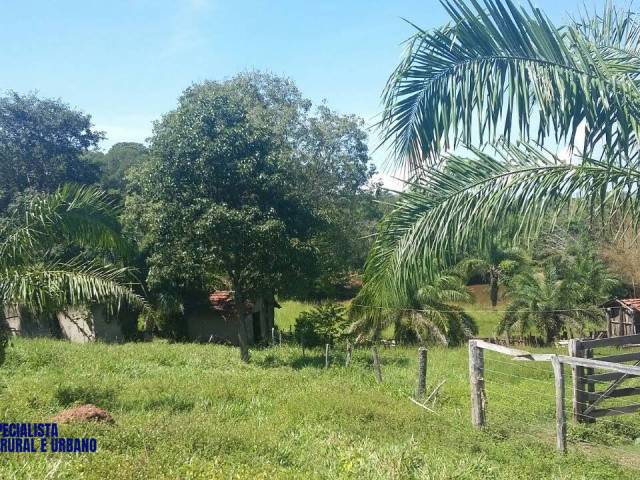 #4144 - Chácara para Venda em Goiás - GO