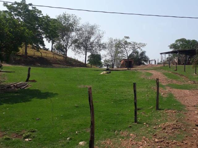 Chácara para Venda em Goiás - 4